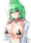  bangs bikini black_bikini breasts cleavage closed_mouth collarbone commentary_request eyebrows_visible_through_hair green_eyes green_hair hair_between_eyes halter_top halterneck highres kazami_yuuka large_breasts long_sleeves looking_at_viewer micro_bikini_top nail_polish open_clothes open_shirt red_nails shirt short_hair solo stomach swimsuit touhou upper_body white_shirt y2 