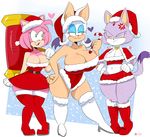  amy_rose bat big_breasts blaze_the_cat breast_size_difference breasts cat christmas clothed clothing feline female hair hammer hedgehog holidays huge_breasts jinu mammal pink_hair rouge_the_bat sonic_(series) thick_thighs tools wide_hips 