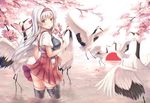  ass bird black_legwear blush brown_eyes cherry_blossoms crane_(animal) hakama hakama_skirt headband japanese_clothes kantai_collection long_hair muneate open_mouth petals petals_on_liquid red_hakama red_headband short_sleeves shoukaku_(kantai_collection) solo tasuki thighhighs water white_background yuriko 