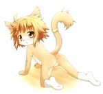  all_fours anthro anus blush breasts brown_eyes brown_fur cat clothing cub cute feline female flat_chested fur kasasagi legwear mammal nude perineum presenting presenting_anus presenting_pussy pussy raised_tail simple_background socks solo white_background young 