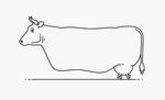  animated black_and_white bovine female horn humor line_art mammal monochrome solo teats udders unknown_artist walking what what_has_science_done 