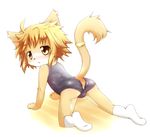  all_fours ambiguous_gender anthro anus blush brown_eyes brown_fur cat clothing cub cute feline fur kasasagi legwear mammal raised_tail simple_background socks solo swimsuit torn_clothing young 