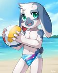  anthro ball beach beach_ball blush bulge child clothed clothing cub lagomorph looking_at_viewer male mammal navel outside rabbit seaside smile solo speedo swimsuit topless unrealplace young 