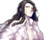  1boy collared_shirt iro_(sekaixiro) long_hair looking_at_viewer male_focus michael_roa_valdamjong open_clothes open_shirt partially_shaded_face pectorals profile red_eyes shirt tsukihime vampire wavy_hair white_background white_shirt 