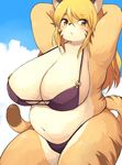  akitaka anthro big_breasts bikini blonde_hair blush breasts clothed clothing feline female fur hair hands_behind_head huge_breasts long_hair looking_at_viewer mammal orange_eyes outside overweight overweight_female skimpy slightly_chubby solo standing stripes swimsuit tiger voluptuous wide_hips yellow_fur 