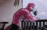  2016 anthro avian beak bgn bird clothed clothing dialogue dylan_(bgn) english_text feathered_wings feathers flamingo male muscular muscular_male nipples pink_feathers raining solo text topless winged_arms wings 