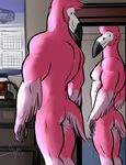  2017 anthro avian beak bgn bird dylan_(bgn) feathered_wings feathers flamingo male mirror muscular muscular_male nude pink_feathers solo tail_feathers winged_arms wings 