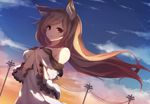  animal_ears bare_shoulders between_breasts breasts brown_hair chiroru_(cheese-roll) cloud day dress dutch_angle hand_between_breasts hands_up highres imaizumi_kagerou long_hair looking_at_viewer medium_breasts outdoors power_lines red_eyes sky solo touhou upper_body very_long_hair wind wolf_ears 