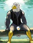  2017 animal_crossing anthro apollo_(animal_crossing) avian beak bgn bird bottomless clothed clothing convenient_censorship eagle feathered_wings feathers male muscular muscular_male nintendo penis penis_base sitting solo talons video_games winged_arms wings 