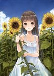  :d arm_across_waist arm_up blue_sky blush brown_eyes brown_hair child cloud commentary_request day dress field flower flower_field fujita_hidetoshi happy holding holding_flower long_hair looking_at_viewer open_mouth original outdoors plant ribbon shiny shiny_hair sky sleeveless smile solo standing sundress sunflower sunlight white_dress white_ribbon yellow_flower 