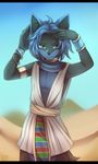  2017 anthro blackbird_(artist) blue_eyes blue_fur blue_hair canine clothed clothing desert echelon_kayari feline fox fur hair heterochromia hybrid looking_at_viewer male mammal nature outside robe sand simple_background sky solo suggestive wristband 