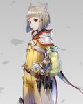  animal_ears bangs blunt_bangs bodysuit cat_ears eyebrows gloves highres hood long_sleeves niyah short_hair silver_hair simple_background smile solo toraziron white_gloves xenoblade_(series) xenoblade_2 yellow_bodysuit yellow_eyes 