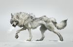  ailah ambiguous_gender canine claws feral fur mammal pawpads simple_background snow solo standing walking white_background white_fur wolf 