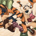  1:1 69_position animal_genitalia anthro anthro_on_feral arcanine bestiality bodily_fluids brown_body canid canine canis claws cum cum_drip cum_in_air cum_on_fur cumshot dripping duo ears_back ears_up ejaculation erection feet feral fluffy fluffy_tail genaron015 generation_1_pokemon genital_fluids genitals green_eyes half-erect hi_res kit_yaco knot knotted_penis leg_grab legs_up licking looking_at_another looking_down male male/male mammal mexican_wolf neck_tuft nintendo open_mouth oral orange_body paw_in_face pawpads paws penile penis penis_lick pivoted_ears pokemon pokemon_(species) raised_arm raised_leg seductive sex spread_legs spread_toes spreading tail teeth toes tongue tongue_out tuft wolf 
