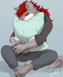  2017 anthro canine clothing digital_media_(artwork) fur hi_res kemono male mammal pillow simple_background solo tach8 wolf 