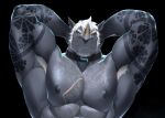 1_horn 2025 abdominal_scar abs anthro areola arm_hair arm_tattoo armpit_hair back_muscles belly_hair biceps big_muscles big_pecs black_background black_collar black_tattoo body_hair chest_hair chest_scar closed_frown collar digital_media_(artwork) ear_scar eyebrows facial_hair facial_horn facial_scar forearm_muscles front_view frown gold_(metal) gold_jewelry grey_areola grey_body grey_nipples hair hands_behind_head hi_res horn horn_jewelry jewelry king_(remember_the_flowers) looking_at_viewer male mammal mouth_closed muscular muscular_anthro muscular_arms muscular_male nipples nose_horn pecs purtropos red_eyes remember_the_flowers rhinoceros scar serious_face short_hair sideburns simple_background solo stubble tattoo thick_arms triceps white_armpit_hair white_eyebrows white_facial_hair white_hair white_horn