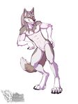  2017 abs anthro biceps canine casual_nudity digital_media_(artwork) fur hair male mammal nude pecs simple_background vallhund wolf 