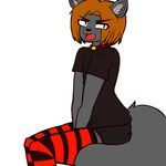  ambiguous_gender angry anthro black_clothing blush canine clothed clothing collar datfurrydude hair legwear mammal open_mouth orange_hair shirt short_pants simple_background sitting slit_pupils solo stockings striped_legwear striped_stockings stripes thick_tail thick_thighs tongue white_background wolf 