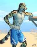  2017 5_fingers abs anthro athletic beach black_skin brown_nose clothing day feralise gloves_(marking) linsang male mammal markings multicolored_skin muscular muscular_male pose sand seaside shorts side_view sky smile solo spots standing swimming_trunks swimsuit viverrid whiskers white_skin yellow_eyes yellow_skin 
