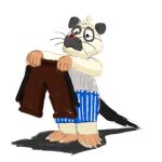 2026 anthro biped black_body bottomwear clothing cloud_rat dressing_up male mammal northern_luzon_cloud_rat pants piothecloudrat rodent shirt simple_background solo standing topwear underwear white_body
