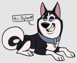  101_dalmatian_street 101_dalmatians black_body black_ears black_fur black_nose blue_collar blue_eyes canid canine canis collar countershade_face countershading dipstick_tail disney domestic_dog ears_up fang_necklace feral fur half-closed_eyes hansel_(101_dalmatians) hi_res husky male mammal mandrawsdog markings narrowed_eyes nordic_sled_dog pink_inner_ear solo spitz tail tail_markings white_body white_fur white_paws white_tail 