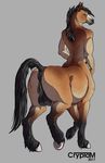  balls cryptam equine equitaur herm hooves horse intersex kampa looking_back maleherm mammal pussy simple_background solo taur 