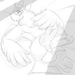  2017 anthro avian balls big_balls big_penis breath_of_the_wild camychan feathers hi_res humanoid_penis kass_(zelda) looking_at_viewer male monochrome nintendo penis rito solo the_legend_of_zelda video_games 