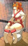  anthro asian_clothing bathroom bathroom_floor bathroom_wall bodily_fluids boots breasts canid canine ceroba_ketsukane clothed clothing clothing_lift dress dress_lift east_asian_clothing female footwear fox fur ginger_fur hair hi_res japanese_clothing kemono mammal monster orange_body orange_fur orange_hair panties panties_down partially_clothed pink_clothing pink_panties pink_underwear pooping shoes sillynamie sitting sitting_on_toilet solo sweat sweatdrop toilet toilet_use true_fox undertale_yellow underwear underwear_down 