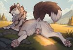 a.o.kigahara_(artist) animal_genitalia animal_vulva black_claws black_nose black_tail canid canine canine_genitalia canine_vulva canis claws dipstick_tail female feral fur genitals hi_res mammal markings pawpads pink_pawpads solo tail tail_anus tail_markings taka_(artist) vulva whiskers white_body white_fur white_tail_tip wolf yellow_eyes
