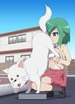  bestiality blue_eyes blush bra breasts dog green_hair iwasaki_minami large_breasts lucky_star paizuri shirt_lift underwear uwa~a white_bra 