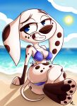 101_dalmatian_street 101_dalmatians 2024 absurd_res aged_up anthro anthrofied beach bikini biped black_markings black_nose blue_bikini blue_bikini_bottom blue_bikini_top blue_clothing blue_swimwear breasts canid canine canis cleavage clothed clothing cloud colored dalmatian dated detailed_background disney dolly_(101_dalmatians) domestic_dog fangs female female_anthro floppy_ears fur hi_res landscape long_ears mammal markings pkbr4insh0ck_(artist) seaside shaded signature sitting sky smile solo spots spotted_body spotted_fur sun swimwear tail teeth two-piece_swimsuit water white_body white_fur year