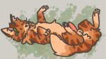 alderheart_(warriors) animal_genitalia animal_penis balls domestic_cat dot_eyes felid feline felis feral full-length_portrait fur genitals hi_res leafwing_(artist) lying male male_feral mammal on_back orange_body orange_fur paws penis portrait simple_eyes tan_balls tan_body tan_fur warriors_(book_series)
