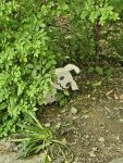  black_eyes bush chueog commentary_request day highres korean_commentary mimikyu no_humans outdoors photo_background pokemon pokemon_(creature) pokemon_focus rock solid_oval_eyes solo 