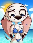 101_dalmatian_street 101_dalmatians 2024 absurd_res aged_up anthro anthrofied bikini biped black_markings black_nose blue_bikini blue_bikini_bottom blue_bikini_top blue_clothing blue_swimwear canid canine canis clothing cloud colored dalmatian dated disney dolly_(101_dalmatians) domestic_dog female female_anthro floppy_ears frown fur hi_res long_ears looking_down looking_down_at_self mammal markings navel onomatopoeia pkbr4insh0ck_(artist) seaside shaded signature sky solo sound_effects spots spotted_body spotted_fur sun swimwear tail text two-piece_swimsuit wardrobe_malfunction water white_body white_fur year