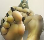  dalluwn feet feline foot_focus lion low-angle_view male mammal muscular paws soles 