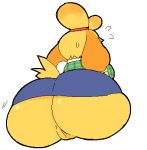  2018 animal_crossing anthro big_breasts big_butt bottomless breasts butt canine clothed clothing dog female honeyboyy huge_breasts huge_butt isabelle_(animal_crossing) mammal nintendo pussy rear_view simple_background solo sweat upskirt video_games white_background wide_hips 