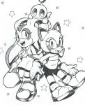  2girls animal_ears chao_(sonic) cheese_(sonic) cream_the_rabbit dress furry furry_female inktober marine_the_raccoon multiple_girls nowykowski rabbit_girl raccoon_ears raccoon_girl raccoon_tail sonic_(series) tail very_long_ears 
