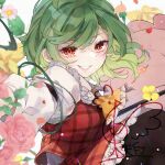  1girl arm_up ascot commentary_request crossed_legs falling_petals floating_hair flower frilled_ascot frills green_hair grin hakurei_frontier_spell_strive kazami_yuuka lips long_sleeves medium_hair outstretched_arm pantyhose parasol parted_bangs petals pink_flower pink_rose plaid_clothes plaid_skirt plaid_vest plant red_eyes red_skirt red_vest rose shirt sidelocks skirt skirt_set slit_pupils smile solo swept_bangs thorns too_many_watermarks touhou toutenkou umbrella upper_body vest vines watermark yellow_ascot 