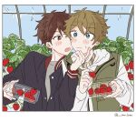  2boys am_ber aqua_hair blush border brown_eyes brown_hair closed_mouth commentary_request ensemble_stars! food fruit grey_shirt hand_up highres holding holding_food holding_fruit hood hood_down hoodie indoors jacket layered_clothes long_sleeves male_focus morisawa_chiaki multiple_boys nervous_sweating open_clothes plant shirt short_hair strawberry sweat takamine_midori twitter_username white_border white_hoodie yaoi 