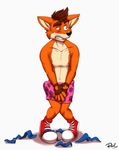  anthro bandicoot blush boxers_(clothing) cheek_tuft clothing crash_bandicoot crash_bandicoot_(series) erection inner_ear_fluff male mammal marsupial nude penis red_lynx solo tuft underwear video_games 