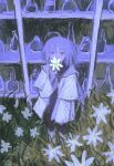  1girl ahoge beaker blue_theme cyberseaurchin daisy_(flower) expressionless field flask flower flower_field grey_eyes grey_hair half-closed_eyes highres holding holding_flower lab_coat long_hair long_sleeves looking_at_viewer original oversized_clothes shelf solo standing white_flower 