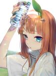  1girl absurdres animal_ears blue_eyes blunt_bangs blush bottle commentary ear_covers hairband highres hime_cut holding holding_bottle horse_ears horse_girl long_hair no_uwazumi orange_hair parted_lips shirt short_sleeves silence_suzuka_(umamusume) solo sweat umamusume upper_body water_bottle white_hairband white_shirt 