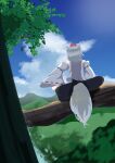  1girl absurdres animal_ears bare_shoulders black_skirt cloud cloudy_sky commentary_request cumulonimbus_cloud day detached_sleeves facing_away full_body gasubanana grey_hair grey_tail hand_on_own_knee hat highres hill inubashiri_momiji medium_hair no_lineart outdoors partial_commentary ribbon-trimmed_sleeves ribbon_trim shirt sitting sitting_on_branch skirt sky sleeveless sleeveless_shirt solo tail tokin_hat touhou tree white_shirt white_sleeves wolf_ears wolf_girl wolf_tail 