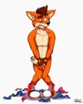  anthro bandicoot blush boxers_(clothing) chest_tuft clothing crash_bandicoot crash_bandicoot_(series) erection inner_ear_fluff male mammal marsupial nude penis red_lynx solo tuft underwear unwanted_erection video_games 