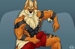  abs anthro arcanine black_nose boxers_(clothing) cheek_tuft chest_tuft clothing erection inner_ear_fluff male muscular nintendo penis pok&eacute;mon pok&eacute;mon_(species) solo tuft underwear video_games 