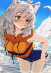  1girl adjusting_clothes adjusting_swimsuit animal_ear_fluff animal_ears bent_over blue_one-piece_swimsuit blue_sky blush borrowed_character bouhuman breasts closed_mouth commission day drawstring fang green_eyes grey_hair highres hood hoodie jacket leaning_forward long_hair medium_breasts ocean one-piece_swimsuit original outdoors school_swimsuit skeb_commission sky sleeveless solo swimsuit swimsuit_under_clothes tail wading water wet white_hair wolf_ears wolf_girl wolf_tail 