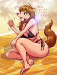  &lt;3 anthro big_breasts bikini breasts brown_eyes brown_hair canine clothed clothing cute_fangs dialogue dog eyelashes female fur green_fur hair half-closed_eyes hi_res japanese_text mammal melonleaf multicolored_fur open_mouth outside pawpads side_boob signature solo swimsuit tan_fur text translated two_tone_fur 