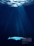  blue_theme clione3031 commentary_request from_side full_body highres light_rays lugia pokemon pokemon_(creature) pokemon_focus profile sunbeam sunlight swimming underwater watermark 