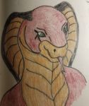  cobra egyptian reptile scalie snake 