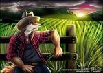  australia cane_fields canine cowboy darren_dingo dingo farm farmer fence hat lightning mammal mountain storm sunset toxi_de_vyne_(artist) 